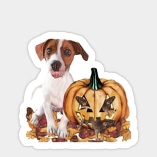 Jack Russell Halloween Scene Sticker